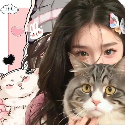 不老骑士：欧兜迈环台日记